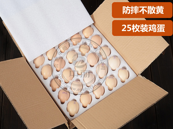 25ö�u����