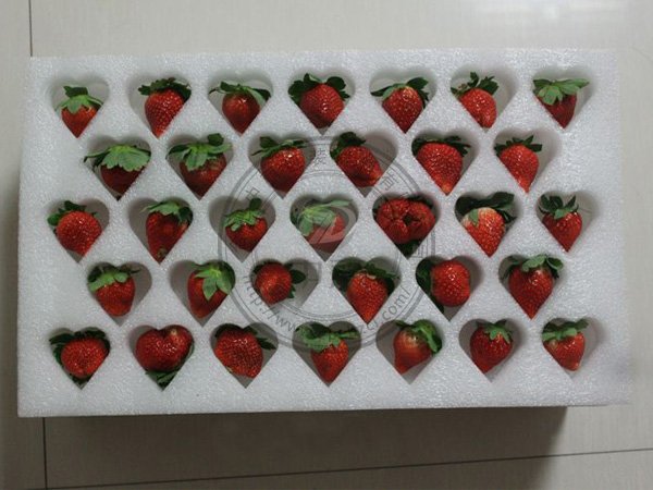 ��ݮ���b����