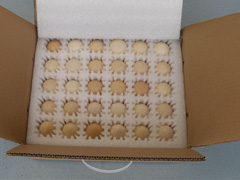 �������u���С�C�