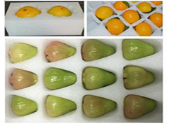 ��ʲô�Ϸ������ޱ��V�����ڼ����(n��i)������